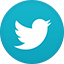 Twitter-Logo-Kris-Kinzpo